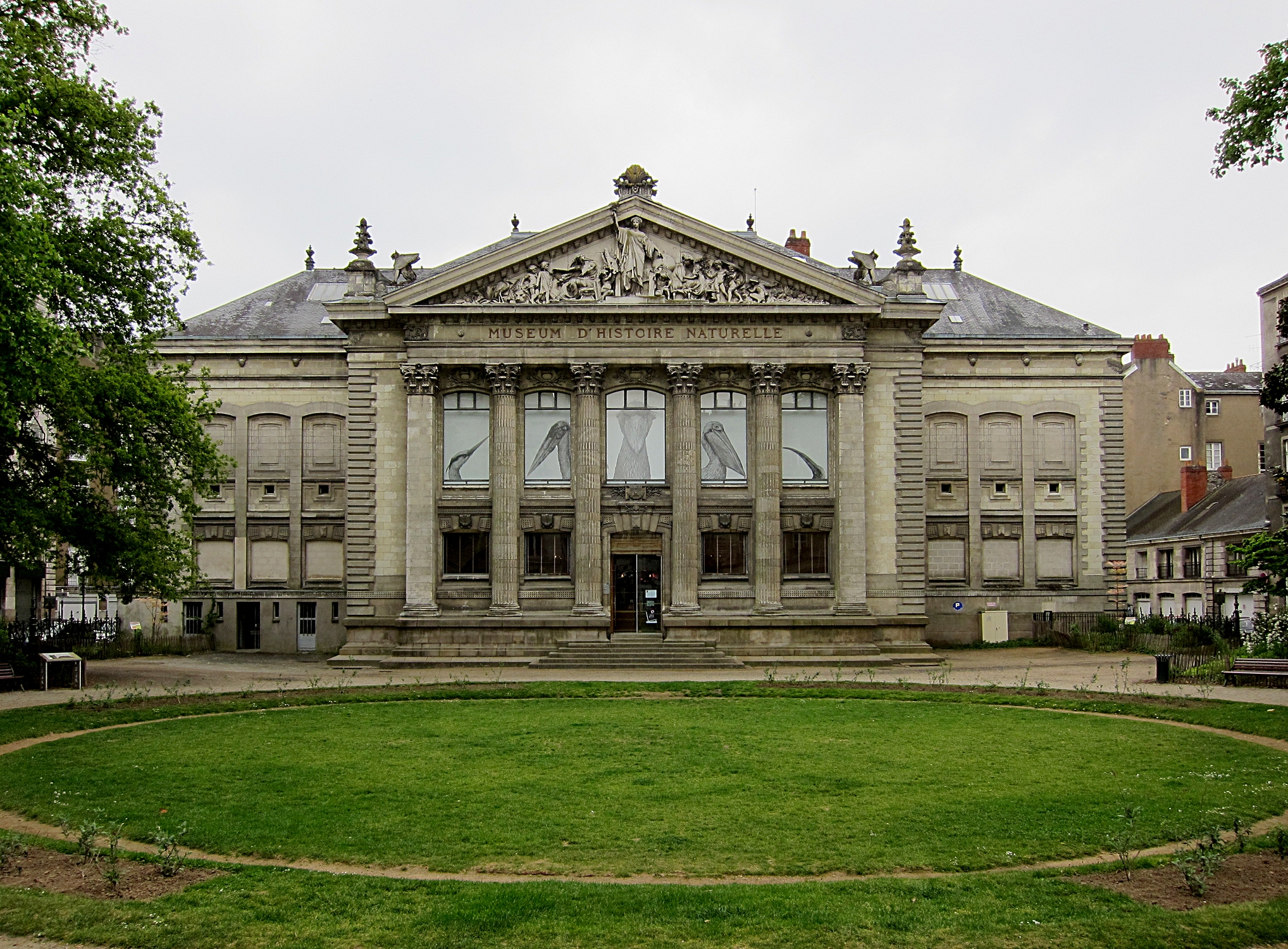 2506-nantes_museum_histoire_naturelle_44.jpg