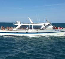 2638-diane-3-bateau-l'etoile-de-thau-iv.jpg
