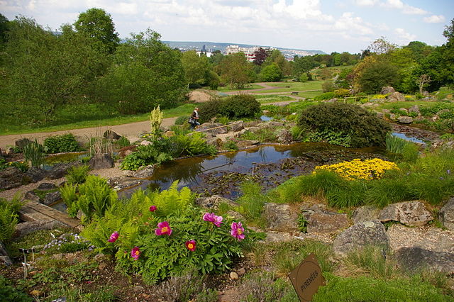 2660-jardin-botanique-du-montet.jpg