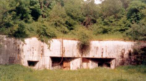 2664-fort-aux-fresques-ou-bois-de-brousse.jpg