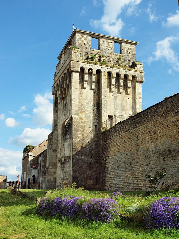 2678-chateau-fort-de-druyes-les-belles-fontaines-yonne-bourgogne-franche-conte.jpg