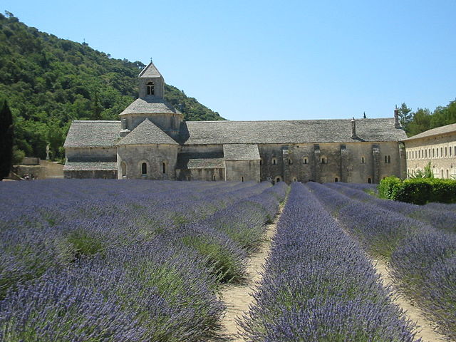 2731-abbaye_de_senanque_gordes-vaucluse.jpg