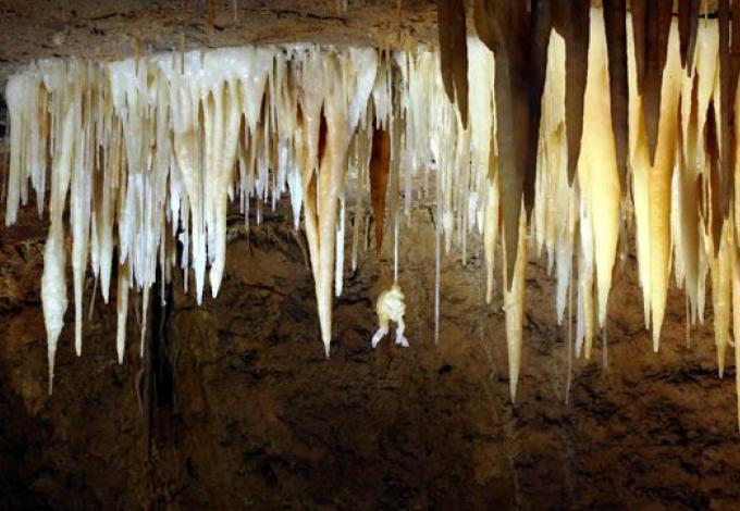 41-grottes-de-tourtoirac-rainette.jpg