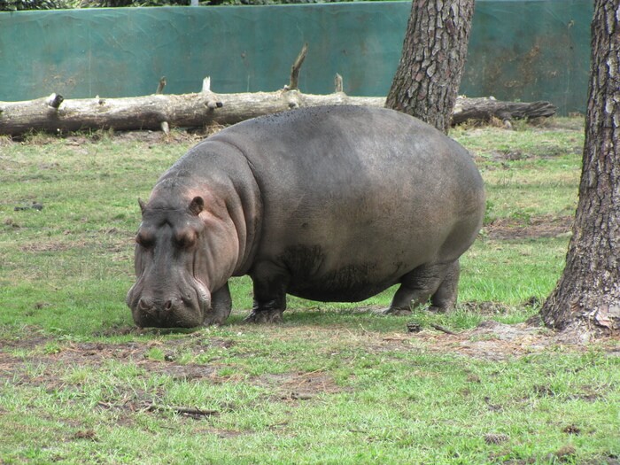 1225-zoo-du-bassin-arcachon.jpg