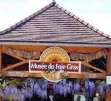 46-46-musee-foie-gras-a-souleilles.jpg