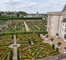 85-chateau-de-villandry-jardin.jpg