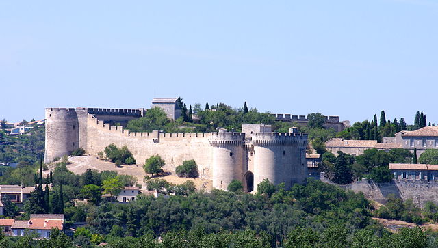 2221-fort-saint-andre-villeneuve-les-avignon.jpg