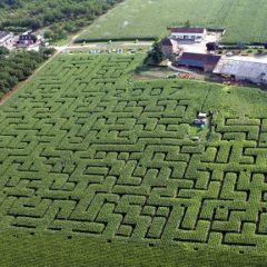 2784-labyrinthe-de-l'ermite-1.jpg