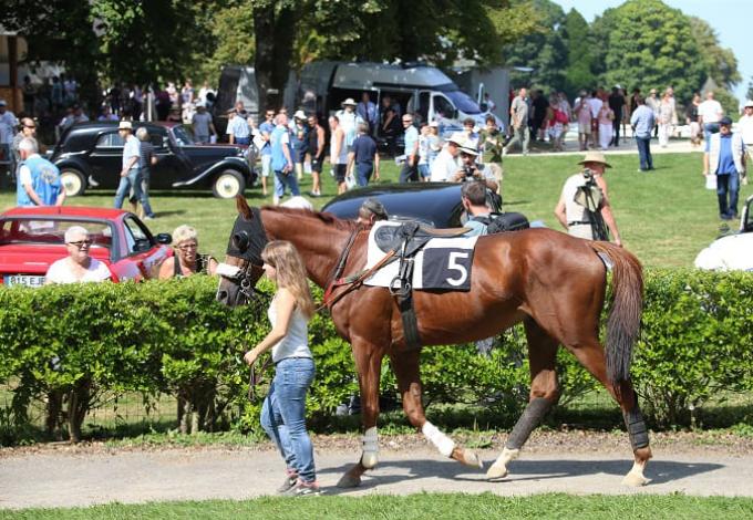 146-chateau-pompadour-correze-chevaux-course-concours-1.jpg