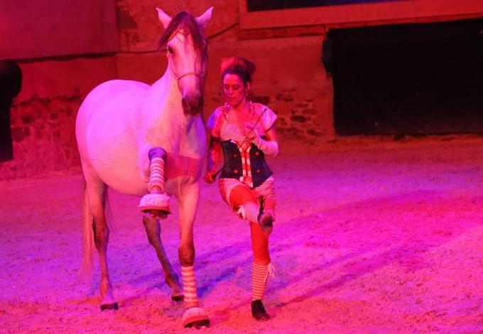 146-chateau-pompadour-spectacle-equestre.jpg