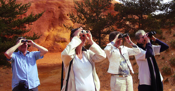 2780-upupa-birdwatching-rustrel-vaucluse.jpg