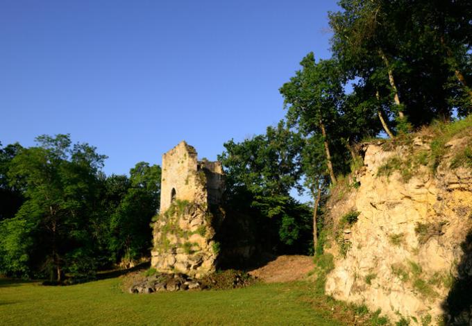 2824-chateau-roquefort-ruines-lugasson-gironde.jpg