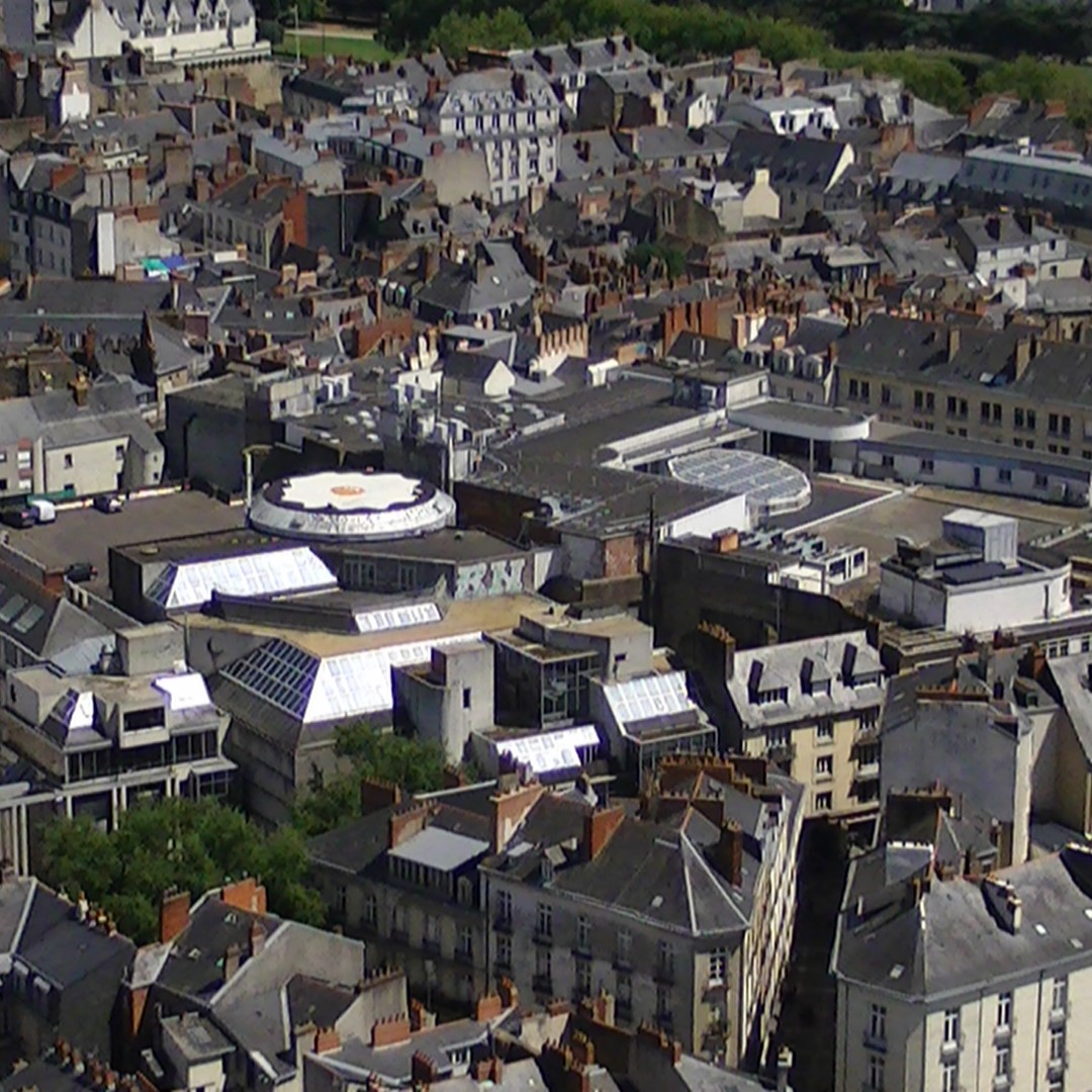 2839-nid-de_nantes.jpg