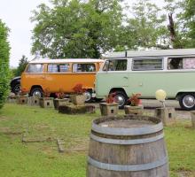 7187-combi-volkswagen-soupcon-en-jurancon-pyrenees-atlantique.jpg